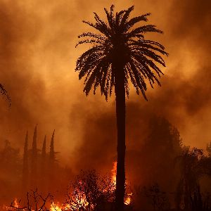 "Annulation des Critics Choice Awards à Los Angeles à cause des incendies : choc à Hollywood"