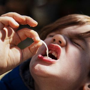 Débat familial : l'alimentation des enfants, un défi pour les parents gourmets