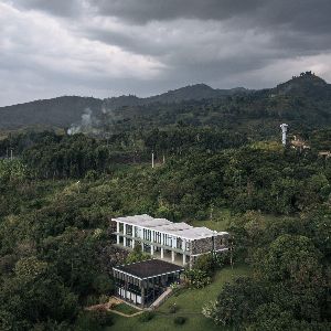 "Déforestation en Afrique : le partenariat gagnant entre ONG et Etats qui fait la différence"