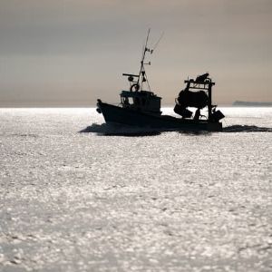 "Alerte info : la France se prépare à des négociations houleuses avec le Royaume-Uni sur la pêche"