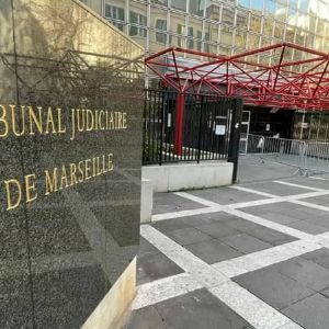 "Scandale à Marseille : Justice légère pour l'étudiant ayant mâché une souris live, 30 Millions d'Amis indigné"