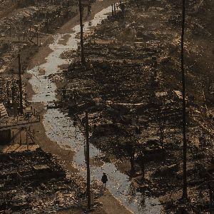 "Stephen Markley : sa maison détruite par un incendie, un avertissement sur la crise climatique"