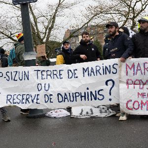 "Une manne de 20 millions d'euros pour les pêcheurs du golfe de Gascogne en échange de la protection des dauphins"