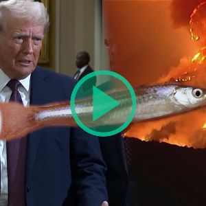 "Donald Trump pointe du doigt le petit poisson responsable des incendies de Los Angeles"