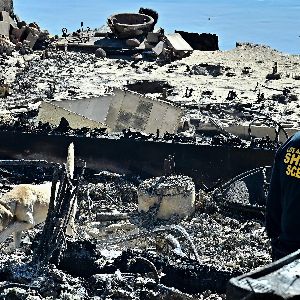 "Dramatique bilan des incendies à Los Angeles après une semaine de flammes dévastatrices !"