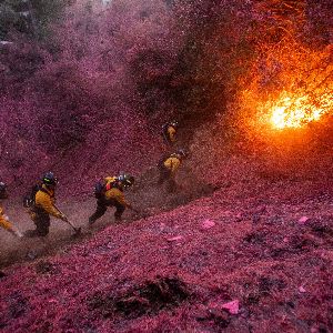 "Incendies de Los Angeles : 24 morts déjà et des vents violents en approche !"