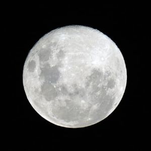 "Incroyable ! Découvrez la première Pleine Lune du Loup de 2025"