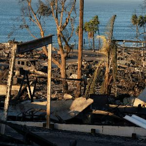 "Le secret des maisons en bois qui défient les incendies à Los Angeles"