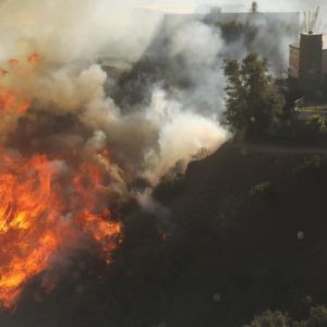 "Qui est responsable des incendies à Los Angeles?"