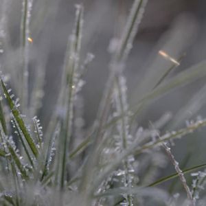 "Alerte météo : températures glaciales en France, où sera le plus froid ce mardi ?"