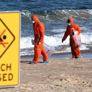 Des mystérieuses boules envahissent les plages de Sydney