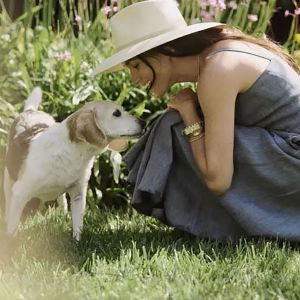 "Le chien de Meghan Markle décède : l'impact émotionnel de cette perte"