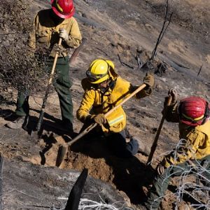 "Alerte à Los Angeles : dévastations sans fin, vents incontrôlables"