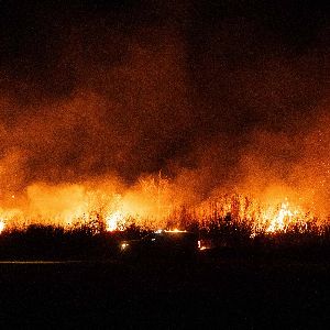 "Alerte ! Les incendies à Los Angeles se multiplient en plein hiver"