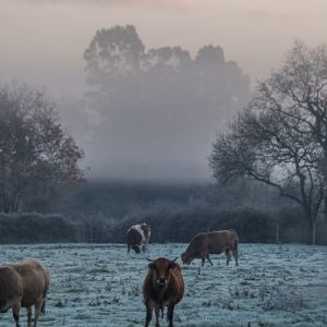 "Alerte météo : record de froid à Clermont-Ferrand et Toulouse ce mercredi matin !"