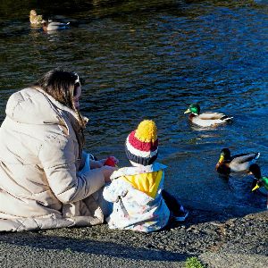 "Découvrez le phénomène méconnu touchant un tiers des enfants : la monoparentalité en hausse"