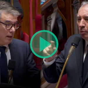 "François Bayrou prêt à passer en force pour séduire le Parti socialiste sur la réforme des retraites"