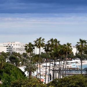 "Le maire de Cannes révolutionne les paiements avec les cryptomonnaies"