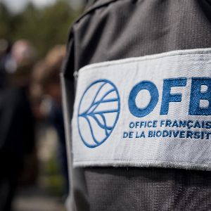 "Scandale à l'OFB : comparaison choc entre agents et agriculteurs, la droite s'insurge"