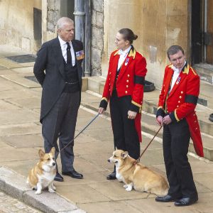 "Scandale royal : le chantage du prince Andrew à Charles III avec les chiens d'Elisabeth II"