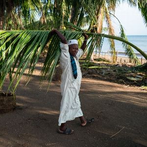 "Découvrez le miracle de Mbouini, épargné par le cyclone Chido dans le sud de Mayotte"