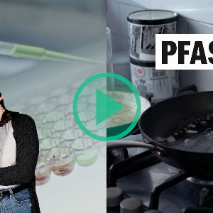 Découvrez les PFAS, ces polluants persistants présents dans nos objets du quotidien !