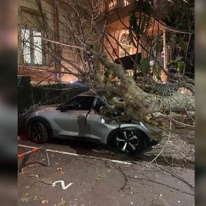 Incroyable: Un Arbre Tombe sur une Voiture à Menton Sans Faire de Blessé !