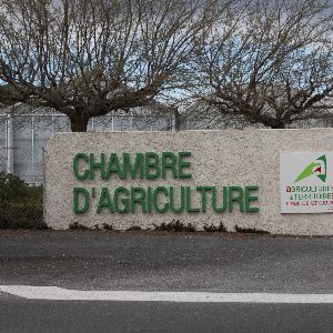 "Les salariés agricoles se mobilisent pour faire valoir leurs droits lors des élections"