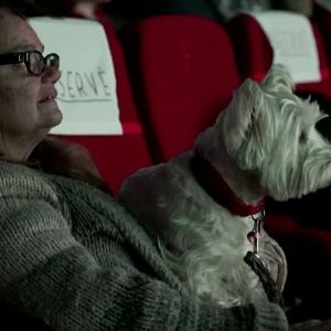 "Incroyable ! Ce cinéma parisien propose des séances ouvertes aux chiens"