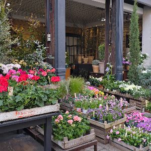 "Alerte ! Les fleuristes exposés aux pesticides : l'Anses enquête sur les risques"