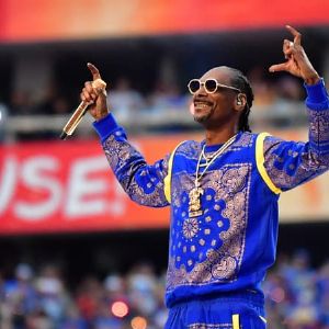 "Polémique : Snoop Dogg, Nelly et d'autres rappeurs critiqués pour soutenir Trump"