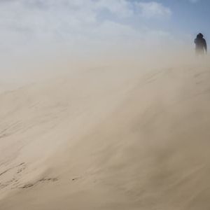 "Incroyable : la dune du Pilat atteint son plus bas niveau en 15 ans !"