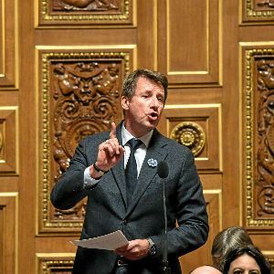 "Yannick Jadot se jette dans l'arène pour les municipales parisiennes"