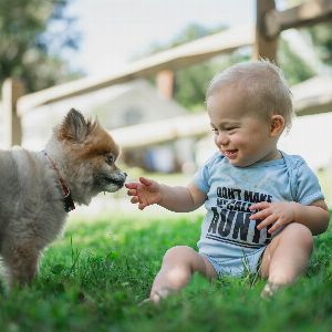 "Choix insolite du prénom : quand le chien décide du nom du bébé"