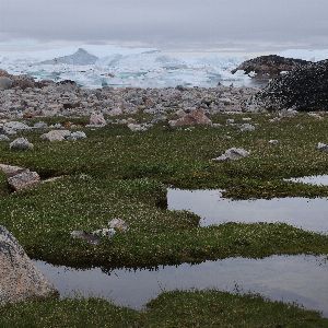 Incroyable ! La toundra arctique ne retient plus le carbone !