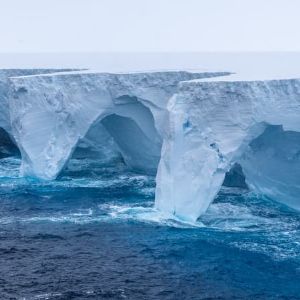 "Alerte iceberg ! L'île et sa biodiversité menacées par un géant de glace"