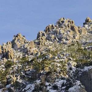 "Alerte : La menace plane sur la moitié des forêts de montagne en France"