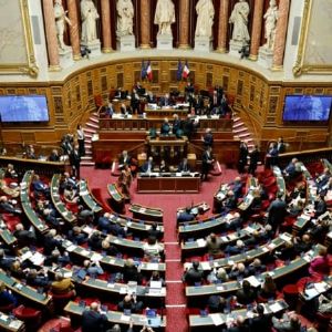 "Grandes avancées : le Sénat met son sceau sur le budget 2025 malgré la censure"