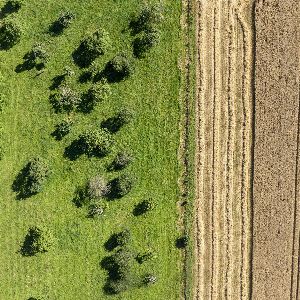 "La droite en guerre contre les agences et normes environnementales : quel impact sur la transition écologique ?"