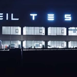 "Scandale en Allemagne : des activistes projettent le salut nazi d'Elon Musk sur son usine Tesla"