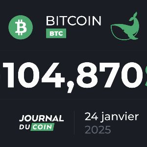 Découvrez la nouvelle explosion des volumes on-chain sur le Bitcoin, similaire à novembre dernier !