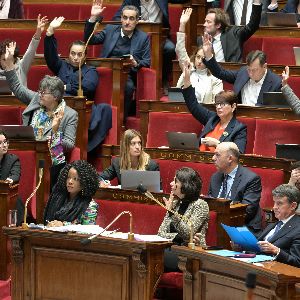 "Des victoires symboliques pour le PS à l'Assemblée : vie chère en Outre-Mer et repas à 1 euro"