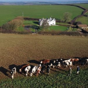 "Scandale fiscal chez les agriculteurs britanniques : rébellion contre le gouvernement"