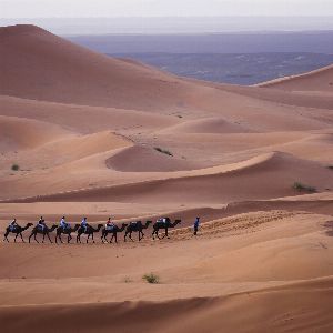 "Découvrez le trésor caché du Sahara algérien qui attire les voyageurs du monde entier"