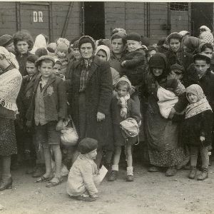 "Révélation : la vérité sur le silence des survivants d'Auschwitz enfin dévoilée !"