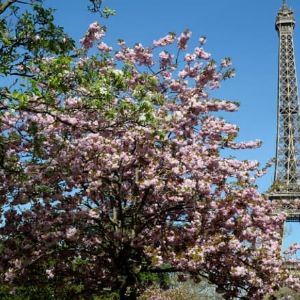 "Alerte : Les coûts de la transition écologique pourraient impacter la croissance économique en France"