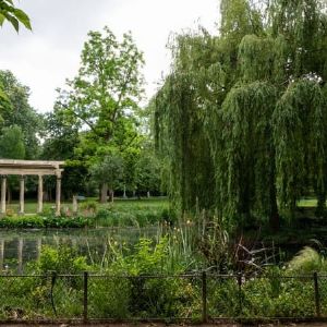 Alerte météo à Paris : les parcs et cimetières fermés à cause des vents violents !