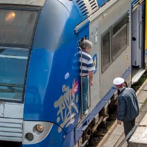 "Alerte TER : Arbres tombés perturbent trafic en Hauts-de-France"