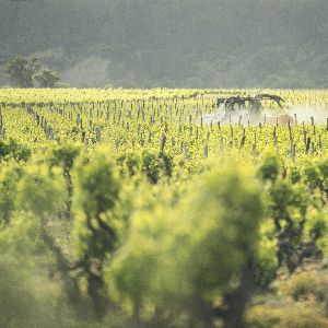 "Incroyable ! Les députés autorisent l'épandage de pesticides par drones !"