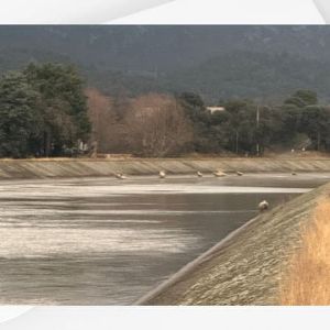 "Incroyable sauvetage de 50 moutons par les pompiers à Manosque !"